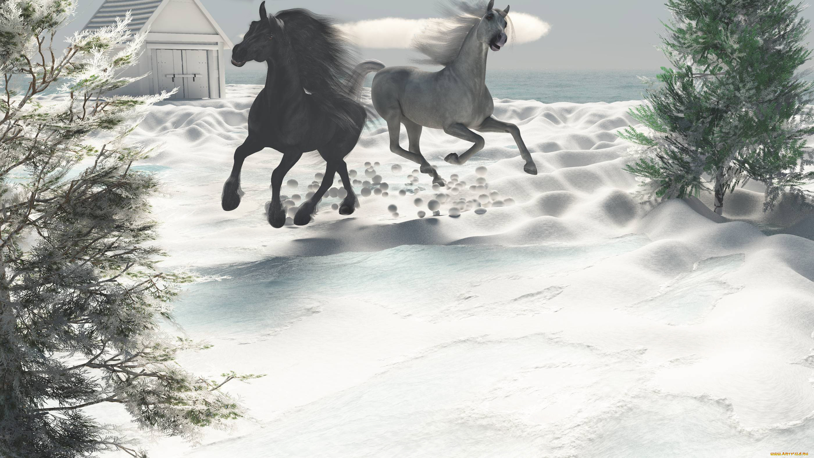 3 ,  , animals, , , , , 